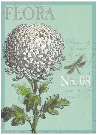 Flora Nouveau Art Poster Print by Devon Ross, 7x9