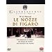 Mozart: Le Nozze di Figaro (The Marriage of Figaro) -- Glyndebourne [DVD] [1999] [2001]