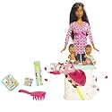 Barbie Career Doll AA