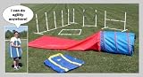 Complete Dog Agility Training Set - Weave Poles, Tire Jump, Crawl Tunnel and More