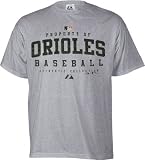 Baltimore Orioles MLB Cooperstown Embroidered Tackle Twill Short Sleeve Tee Shirt By Nike Team Sport (S=36)