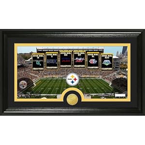 Highland Mint Pittsburgh Steelers Traditions Bronze Coin Panoramic Photo Mint