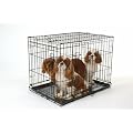 30" 30 Inch Quality Pet Dog Puppy Cat Training Cage Crate Carrier with Twin Door and Tray