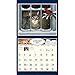 Lang January to December, 13.375 x 24 Inches, Perfect Timing American Cat 2015 Wall Calendar by Lowell Herrero (1001775)