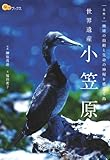 世界遺産 小笠原 (楽学ブックス)