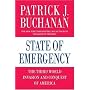 STATE OF EMERGENCY: The Third World Invasion and Conquest of America