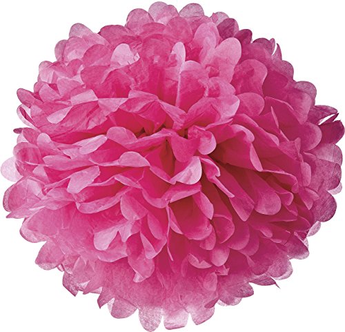 Luna Bazaar Tissue Paper Pom Pom (15-Inch, Fuchsia Pink) - For Baby Showers, Nurseries, and Parties - Hanging Paper Flower Decorations