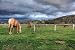Snowy Mountains Horse Trekking Adventure - 24"W x 16"H - Peel and Stick Wall Decal by Wallmonkeys
