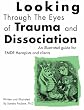 Looking Through the Eyes of Trauma and Dissociation: An illustrated guide for EMDR therapists and clients