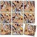 B Dazzle Hoops Scramble Squares 9 Piece Puzzle