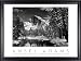 Half Dome Merced River Ansel Adams 34x28 Gallery Quality Framed Art Print Landscape B&W Photography