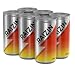 RAIZIN(�饤����) 6Rise�����ޡ��ȥѥå� 185ml��6��