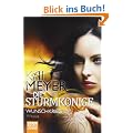 Die Sturmk�nige - Wunschkrieg: Roman