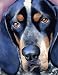 Bluetick Coonhound Dog Art Print Signed by Artist DJ Rogers