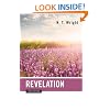 Revelation for Everyone (New Testament for Everyone)