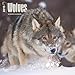 Wolves 2015 Wall Calendar