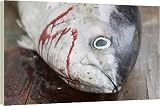 Box Canvas Print of A large Yellow Fin Tuna caught by Tuvaluan fishermen off Funafuti atol from Specialist Stock