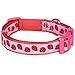 Blueberry Pet Essentials 10 Patterns Ladybug Designer Adjustable Dog Collar, Large, Neck 18