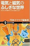 電気と磁気のふしぎな世界 天才たちを夢中にさせた魅力とは? (サイエンス・アイ新書)