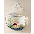 Wall Mount Hanging Beta Fish Bubble Aquarium Bowl Tank Wall Mount Hanging Beta Fish Bubble Aquarium Bowl Tank