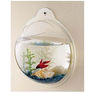Wall Mount Hanging Beta Fish Bubble Aquarium Bowl Tank