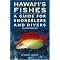 take your kids snorkeling on Kauai