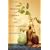 Bringing the Sacred to Life: The Daily Practice of Zen Ritual (Dharma Communications)
