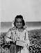 A Delaware Strawberry Picker, 1910 Photograph - Beautiful 16"x20" Photographic Print from the Library of Congress Collection