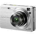 Sony Cybershot DSCW120 7.2MP Digital Camera with 4x Optical Zoom with Super Steady Shot (Silver)