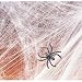 - Halloween Spider Webs & Webbing + Spiders - Full 12 Pack