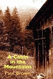 A cabin in the mountains