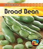 Life cycle of a broad bean