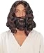Biblical Wig And Beard Brown - Hats, Wigs & Masks