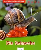 Die Schnecke - 
