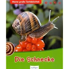 Die Schnecke