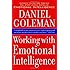 Working with Emotional Intelligence