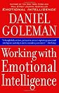 Working with Emotional Intelligence