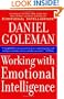 Working with Emotional Intelligence
