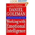 Working with Emotional Intelligence by Daniel Goleman