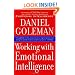 Working with Emotional Intelligence