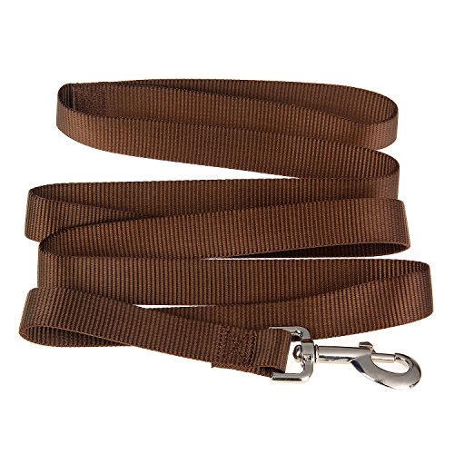 thumbnail image 2 of Buckle-Down Pet Leash - Ranbow - 6 Feet Long - 1" Wde | Ranbow Dog, Dog Leash, Leather Dog 2 of 11