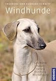 Windhunde: Geschichte, Rassen, Haltung, Erziehung, Beschäftigung