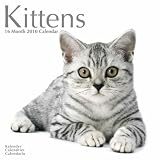 Kittens 2010 Wall Calendar 12 X 12
