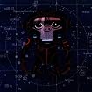Laika Come Home