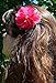 Pearl Chiffon Flower Hair Clip Funny Girl Designs