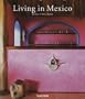Living in Mexico