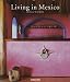 Living in Mexico