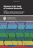 Advances in the study of fractured reservoirs