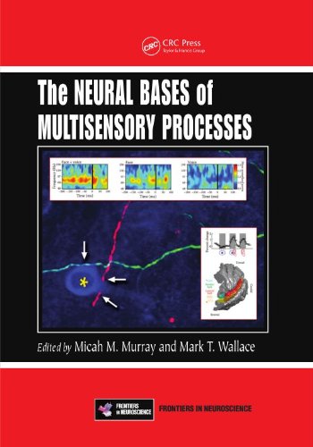 The Neural Bases of Multisensory Processes (Frontiers in Neuroscience)