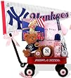 NY Yankees Baseball Girl Radio Flyer Baby Wagon and Little Big Book of Baseball Book by Kara Nessian